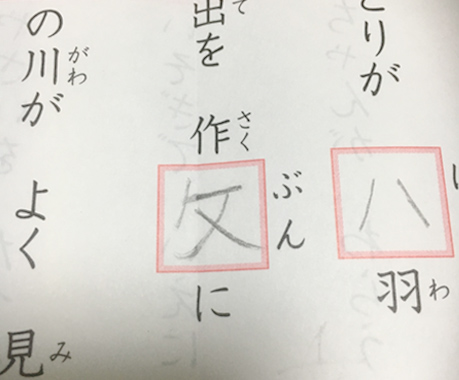 学習支援に必要なビジョントレーニング