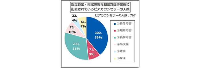 障害者相談支援事業の実施状況について