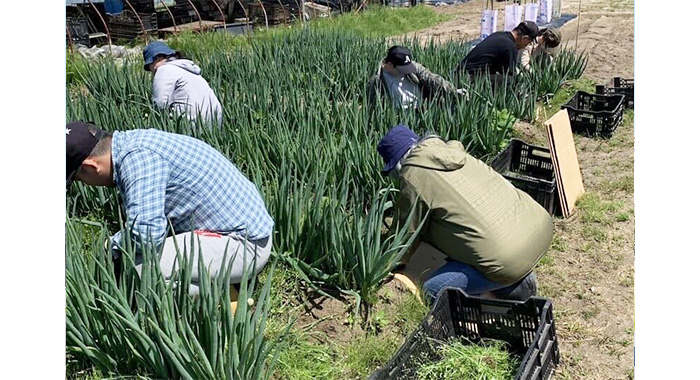 「利用者様の支援が主役」のB型事業所 【KiT株式会社様】